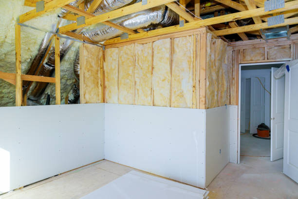 Best Eco-Friendly Insulation in Sikeston, MO