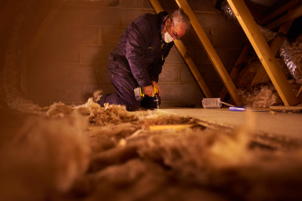Best Specialized Insulation Services in Sikeston, MO